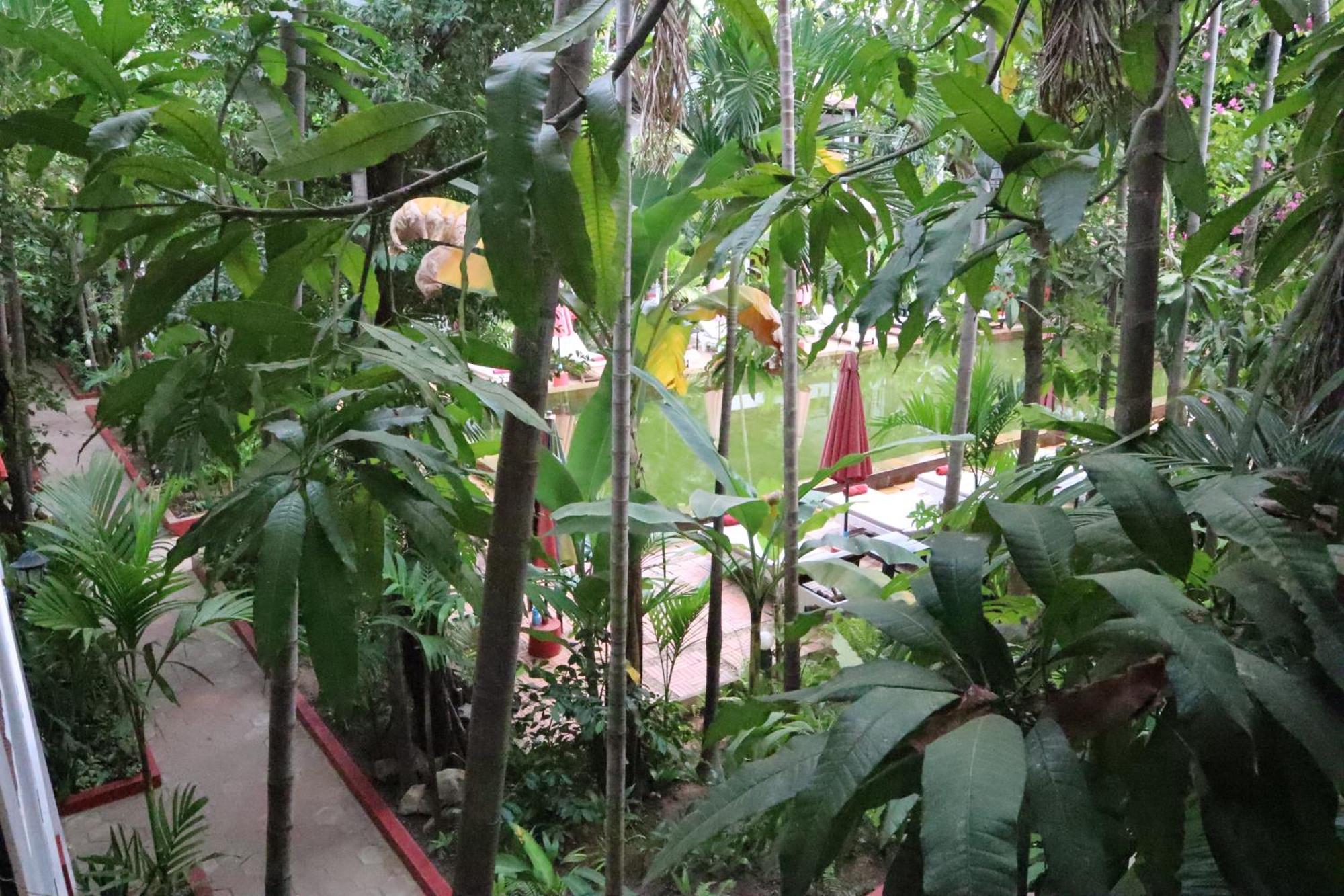 La Niche D'Angkor Boutique Hotel Siem Reap Exterior foto